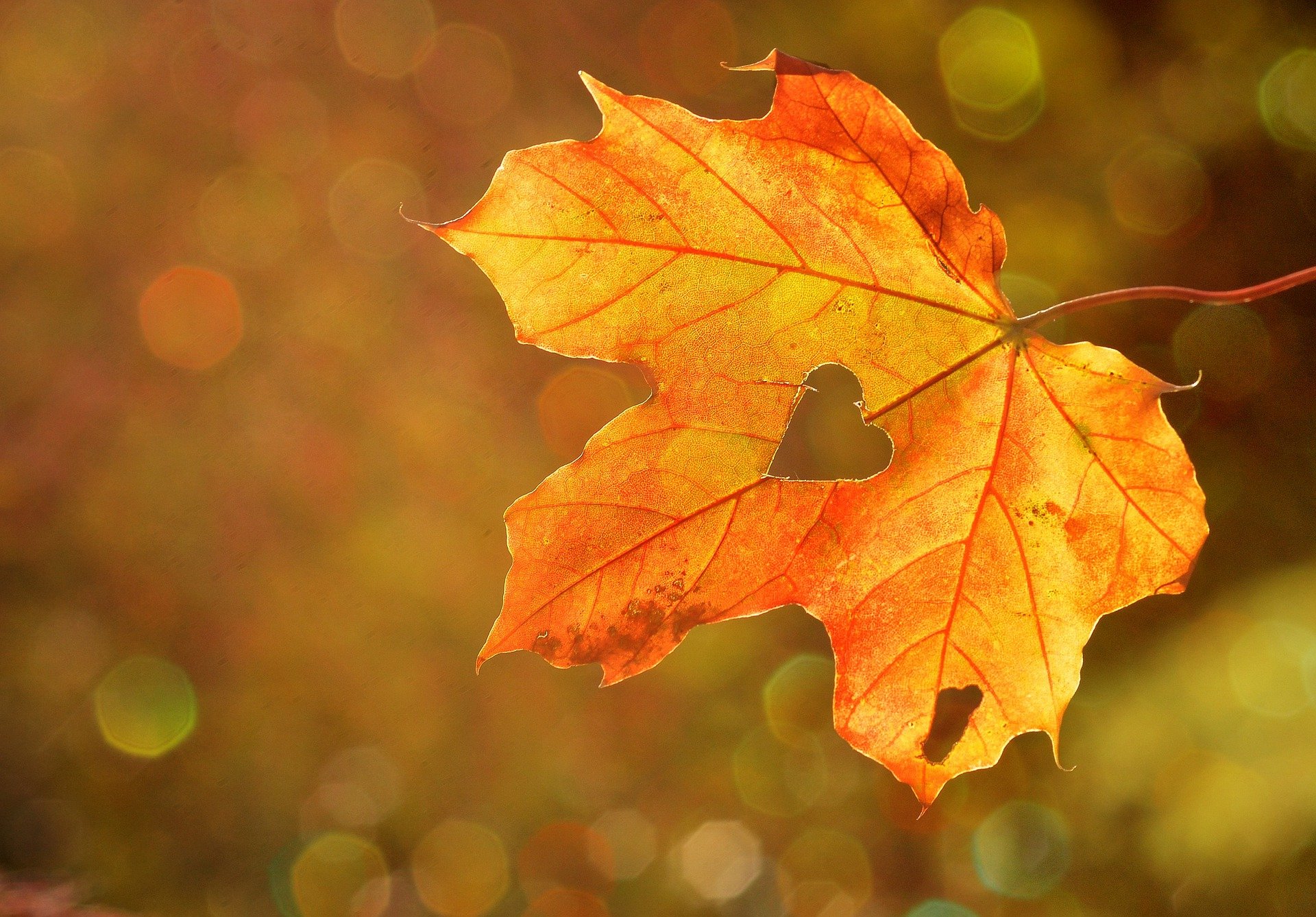 Restorative For Autumn: Balancing Vata